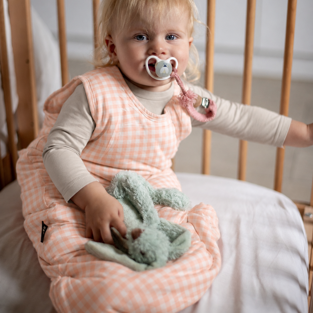 Baby in a crib wearing a pink checkered outfit, holding a green toy and a pacifier.