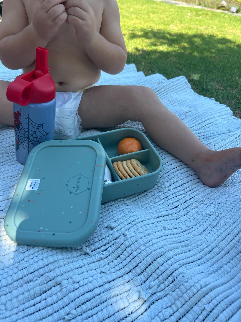 green munchmate silicone lunch box (3 compartments)
