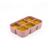 cube + cruz snackle box + freezer tray