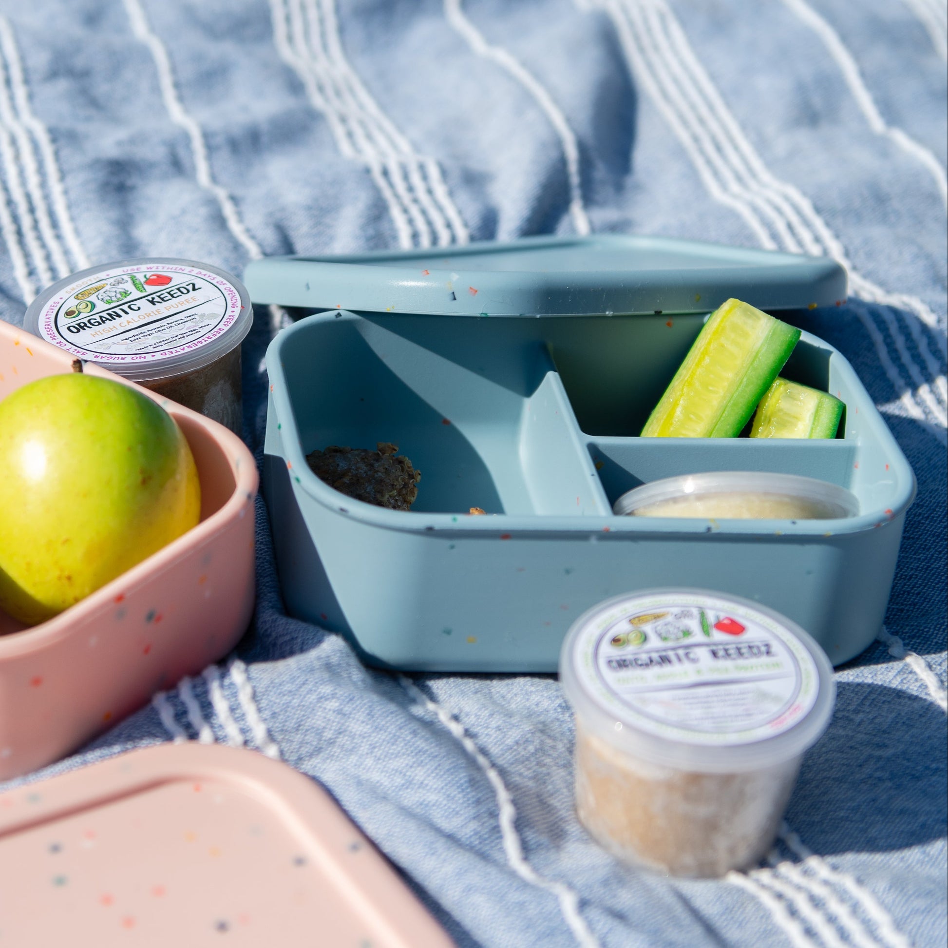 Two bento boxes with snacks and containers on a blue checkered blanket